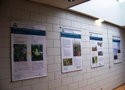 Постери  з демонстрацією досягнень Вагенінського університету